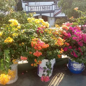 Heavenly Homestay